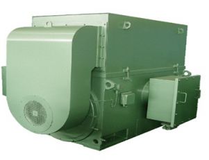 YTM、YHP、YMPS系列磨煤機(jī)用三相異步電動(dòng)機(jī)